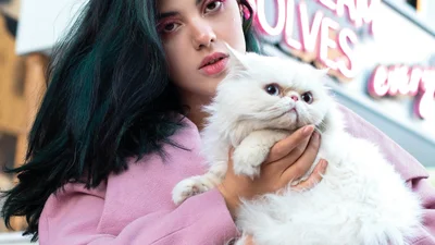 Нежные и мягкие: 5 самых пушистых пород котиков