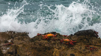 Еще одно туристическое место повышает плату за въезд из-за большого количества людей