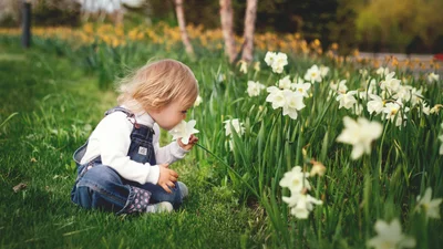 5 вещей, которые необходимы ребенку для правильного развития