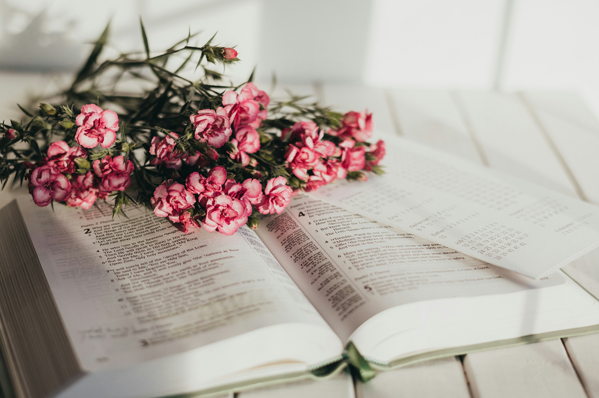 Книжкові новинки квітня 2024 - 607342 Книжкові новинки квітня 2024 - фото 607342