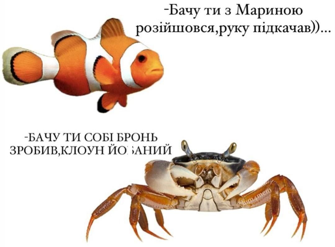 Юзери відреагували мемами на закон про мобілізацію в Україні, який підписав Зеленський - 608855 Юзери відреагували мемами на закон про мобілізацію в Україні, який підписав Зеленський - фото 608855