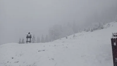 Карпати засипало пухким снігом після літньої спеки, і ці фото - якийсь сюрреалізм