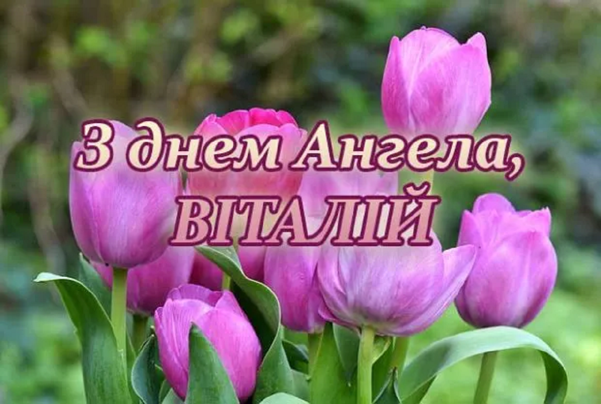 День ангела Виталия 2024 - замечательные поздравления в стихах и милых картинках - 609672 День ангела Виталия 2024 - замечательные поздравления в стихах и милых картинках - фото 609672