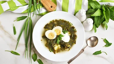 Зеленый борщ из щавеля – что приготовить на весенний обед