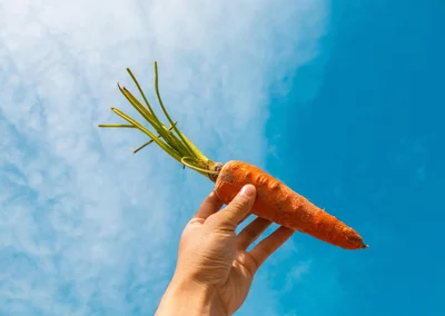 Морква підтримує різні системи організму - фото 609798