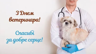 Всемирный день ветеринара - милые поздравления в картинках и словах - фото 610414
