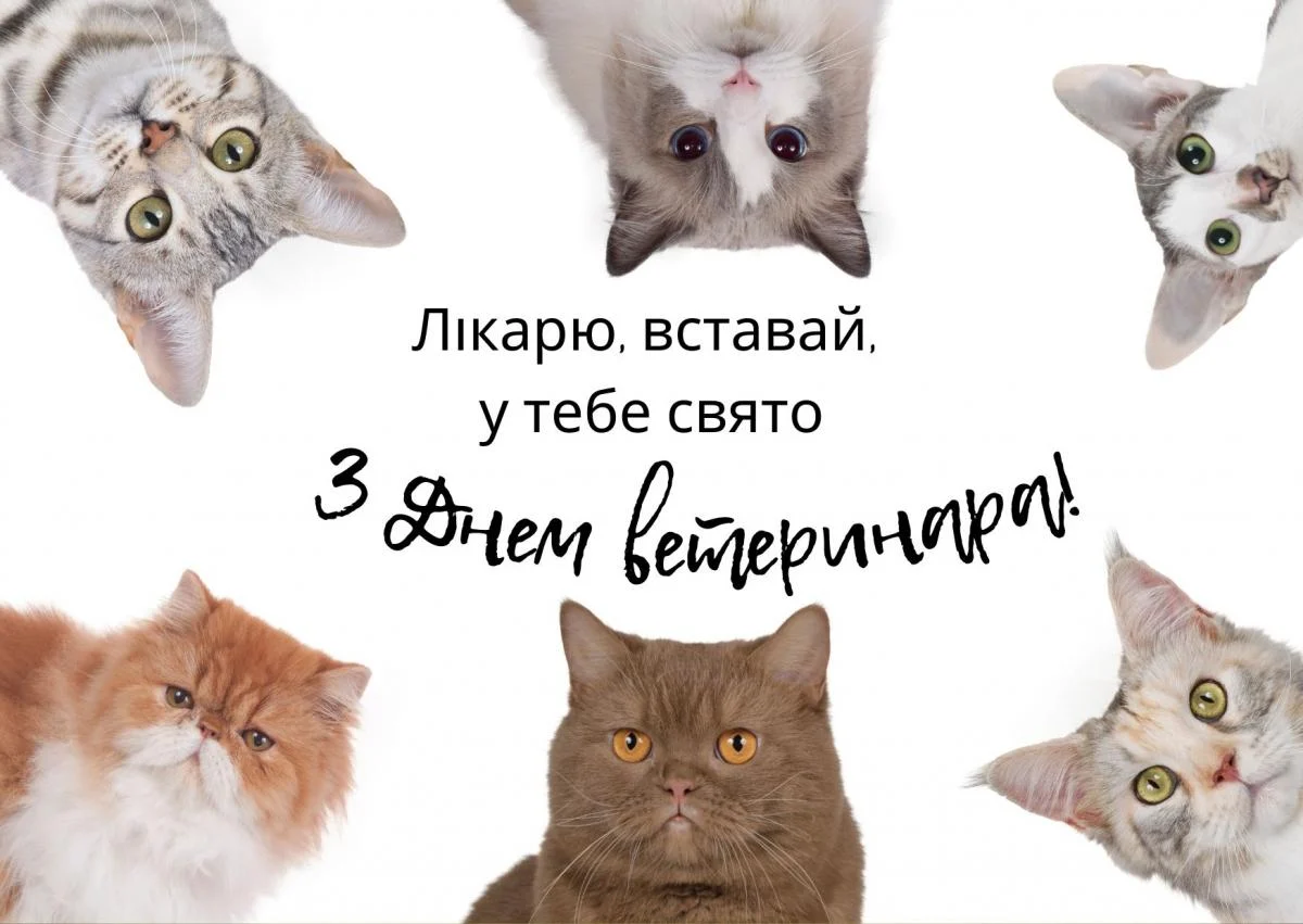 З Днем ветеринара: привітання своїми словами та в картинках - фото 610418