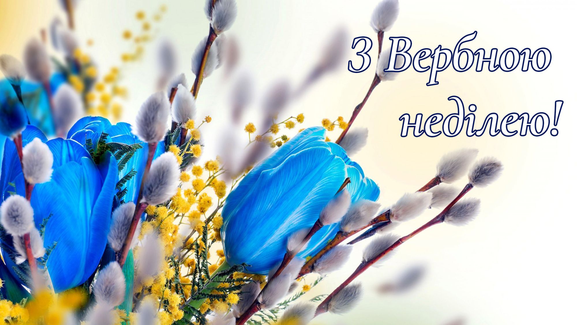 З Вербною неділею картинки - 610527 З Вербною неділею картинки - фото 610527