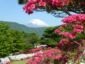 Японский город поставит высокий забор, чтобы закрыть вид на гору Фудзи: что произошло