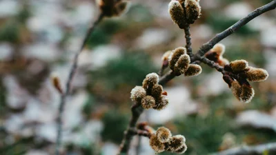 Якою буде погода на Великдень — що чекати 5 травня 2024