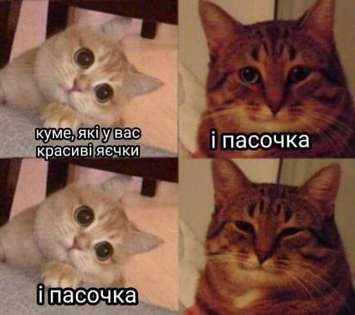 Мемы про Пасху и о том, как классно прошел праздник - 611882 Мемы про Пасху и о том, как классно прошел праздник - фото 611882