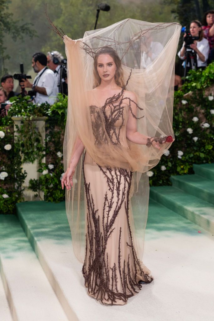 Весь Голливуд собрался на Met Gala 2024, и вот самые удивительные образы бала - фото 612021