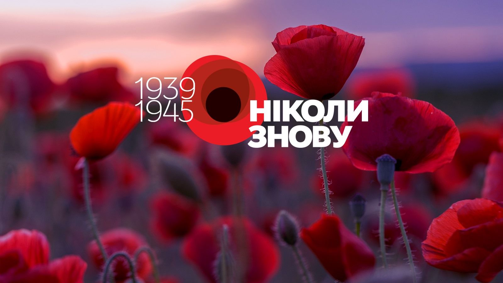 День памяти и победы над нацизмом - щемящие картинки и высказывания к 8 мая - 612178 День памяти и победы над нацизмом - щемящие картинки и высказывания к 8 мая - фото 612178