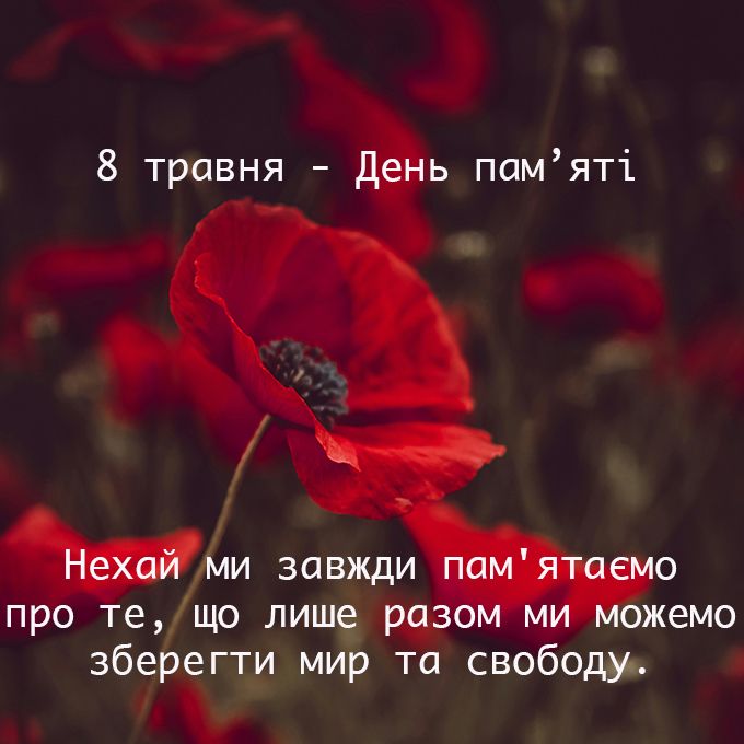 День памяти и победы над нацизмом - щемящие картинки и высказывания к 8 мая - 612190 День памяти и победы над нацизмом - щемящие картинки и высказывания к 8 мая - фото 612190