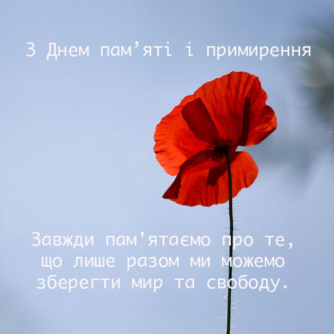 День памяти и победы над нацизмом - щемящие картинки и высказывания к 8 мая - 612191 День памяти и победы над нацизмом - щемящие картинки и высказывания к 8 мая - фото 612191