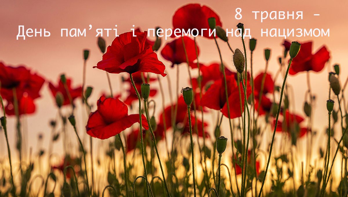 День памяти и победы над нацизмом - щемящие картинки и высказывания к 8 мая - 612193 День памяти и победы над нацизмом - щемящие картинки и высказывания к 8 мая - фото 612193