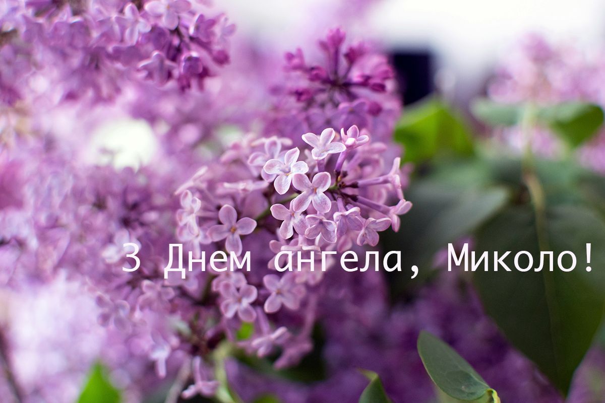 Именины Весеннего Николая: цветущие картинки и поздравления с Днем ангела - 612440 Именины Весеннего Николая: цветущие картинки и поздравления с Днем ангела - фото 612440