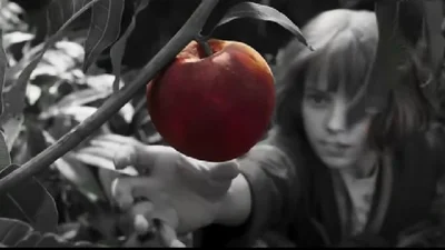 Каннський фестиваль-2024: 5 нових фільмів, які ти не можеш пропустити