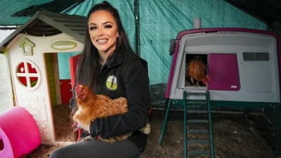 Vip-насисти: британцы построили отель для кур