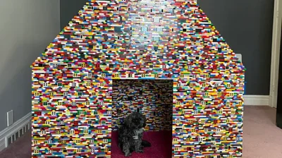 У Канаді жінка будує майже двометрову будку для собак з Lego – відео