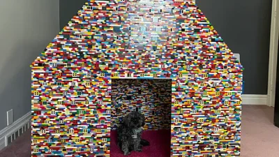 В Канаде женщина строит почти двухметровую будку для собак из Lego – видео