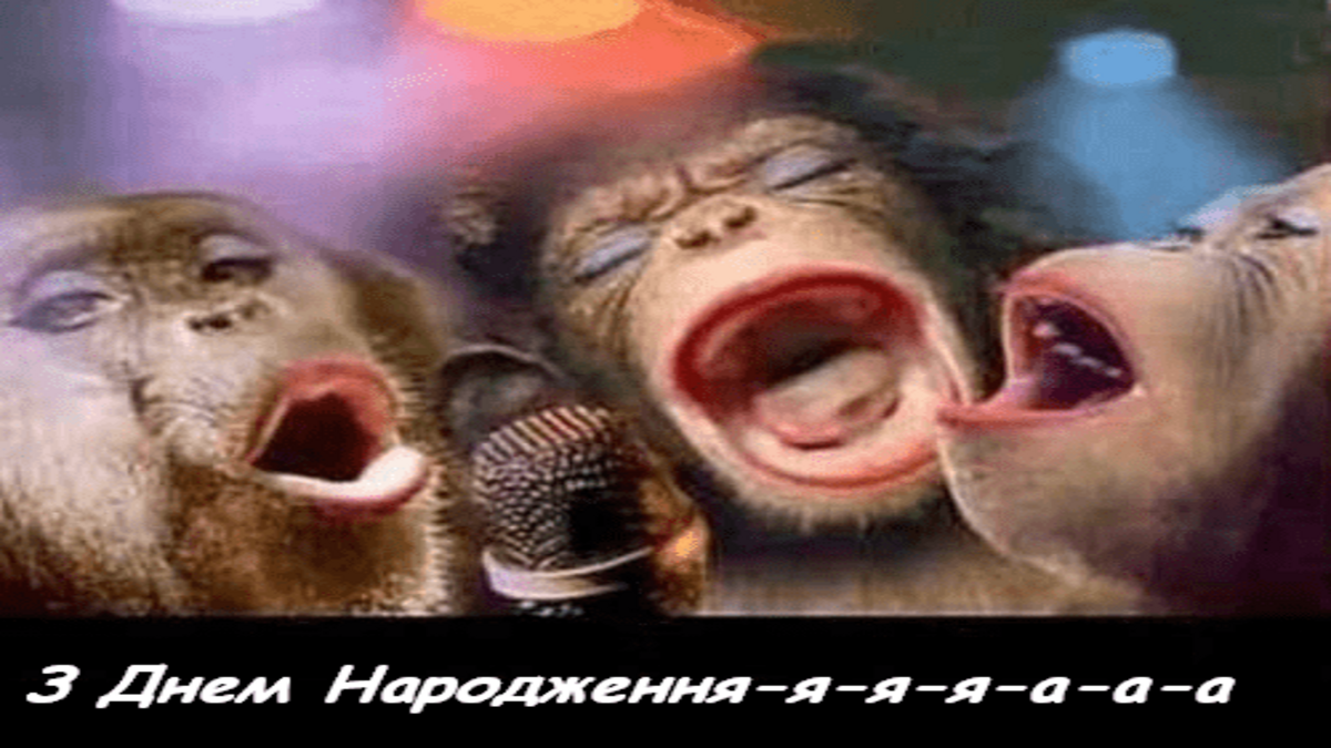 Кумедні привітання з днем народженя листівка - 616437 Кумедні привітання з днем народженя листівка - фото 616437