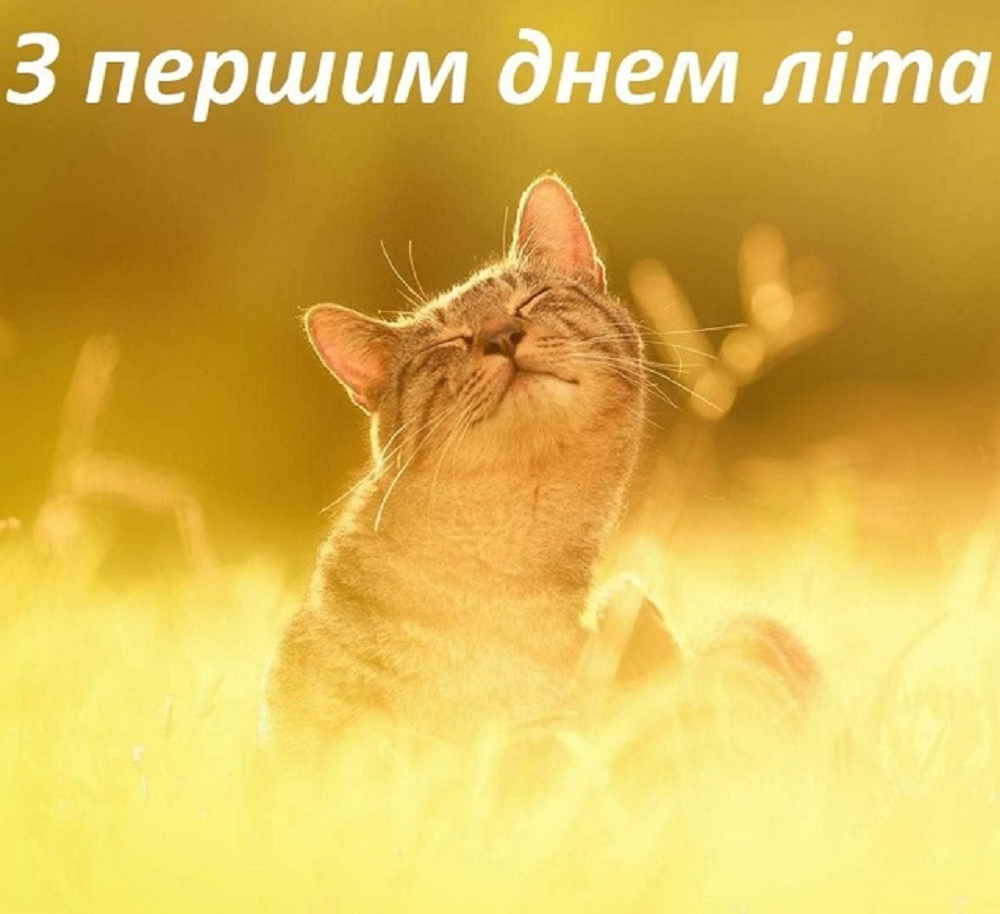 Красиві картинки з першим днем літа 2024 - 616657 Красиві картинки з першим днем літа 2024 - фото 616657