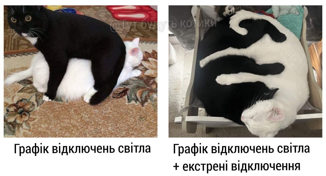 Мемы об отключении света, чтобы светиться от позитива - 617666 Мемы об отключении света, чтобы светиться от позитива - фото 617666