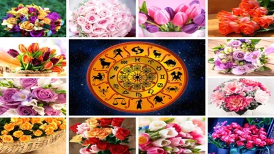 Цветочный гороскоп 2024 года для всех знаков зодиака
