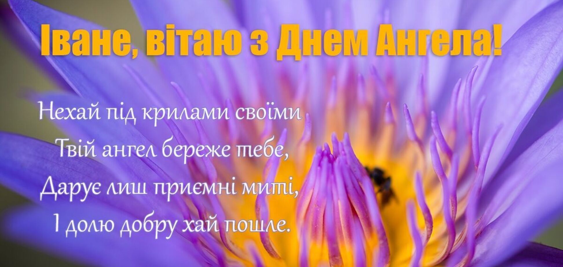 Поздравления для Ивана на День ангела: лучшие пожелания своими словами - 618133 Поздравления для Ивана на День ангела: лучшие пожелания своими словами - фото 618133