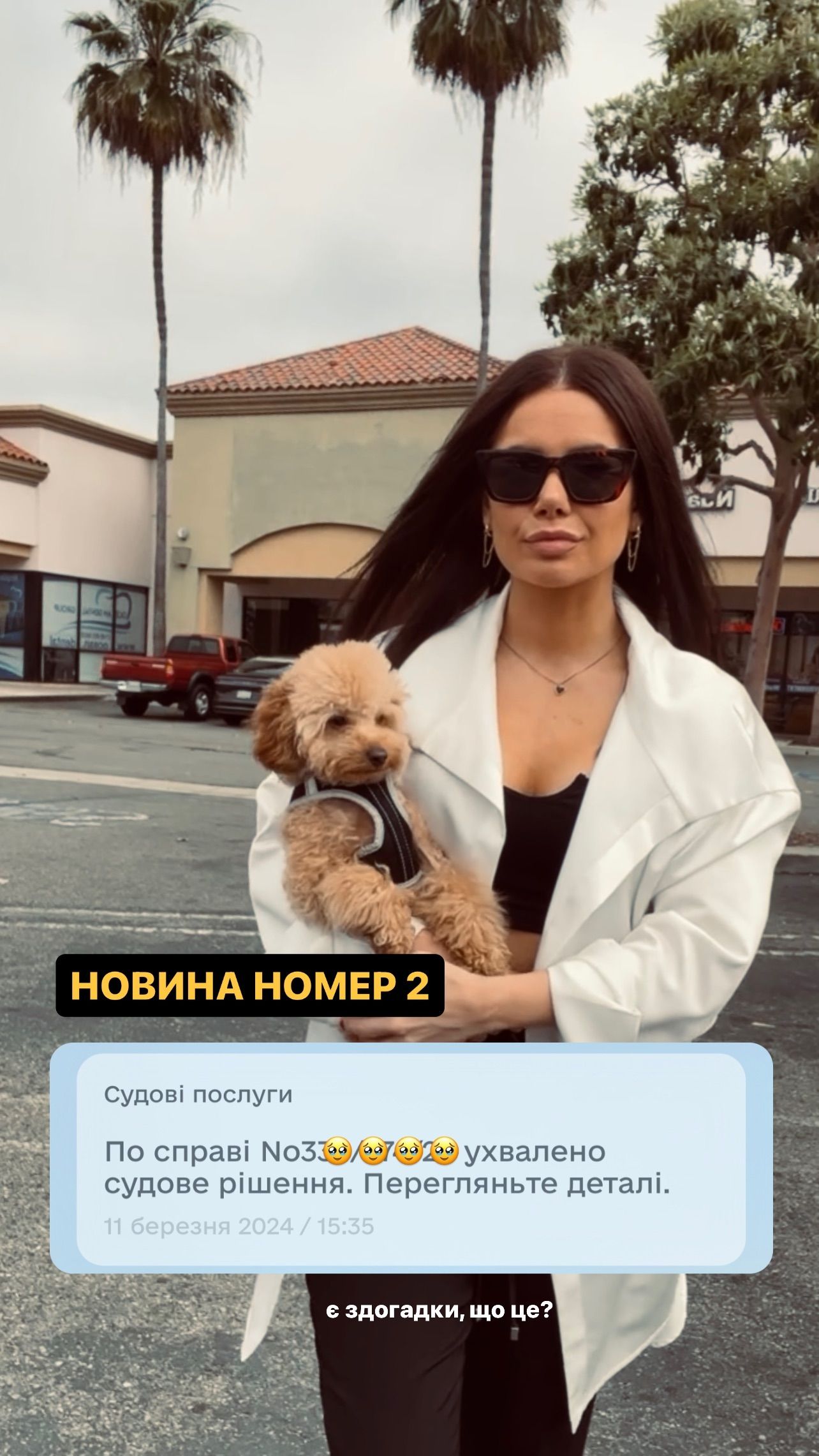Аліна Шаманська офіційно розлучилася з Русланом Ханумаком - 618541 Аліна Шаманська офіційно розлучилася з Русланом Ханумаком - фото 618541