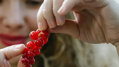 Красная смородина - как ее приготовить, чтобы полюбить эту ягоду