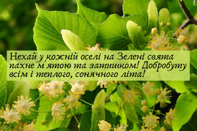 Со Святой Троицей: торжественные картинки-поздравления к великому празднику - фото 620026