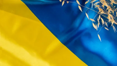 Поздравления с Днем таможенника Украины: душевные пожелания с профессиональным праздником