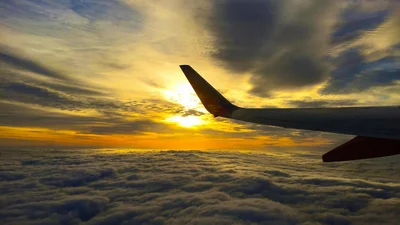 Стюардесса назвала место, на которое нельзя садиться нервным пассажирам