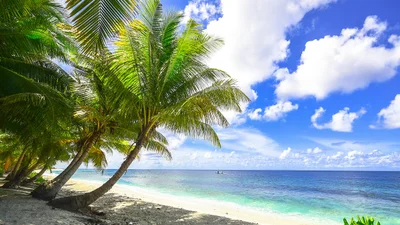 Ни ногой туда: 48 популярных пляжей Испании получили "черный флаг"