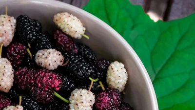 Варення з шовковиці: смаколик з ягоди, яка росте на твоїй вулиці