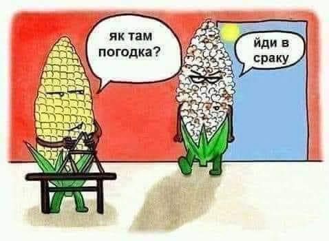 Меми про літню спеку, від якої не сховатися навіть у тіні - 621424 Меми про літню спеку, від якої не сховатися навіть у тіні - фото 621424