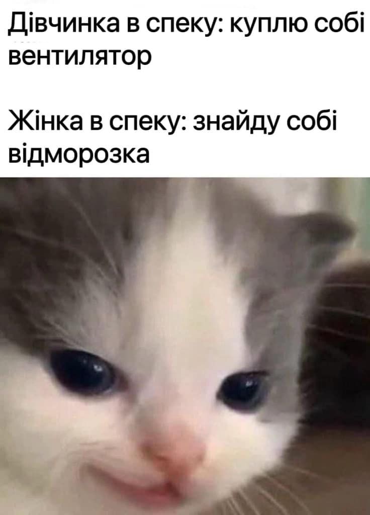 Меми про літню спеку, від якої не сховатися навіть у тіні - 621425 Меми про літню спеку, від якої не сховатися навіть у тіні - фото 621425