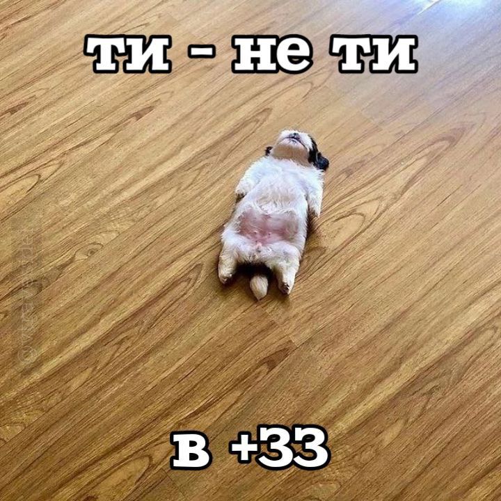 Меми про літню спеку, від якої не сховатися навіть у тіні - 621434 Меми про літню спеку, від якої не сховатися навіть у тіні - фото 621434