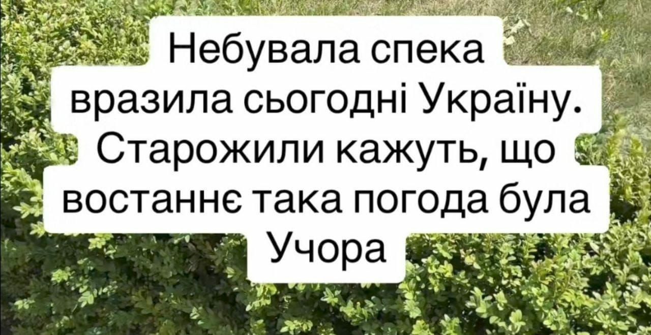 Спека в Україні продовжується, і ось нові меми про аномальну жару - 623512 Спека в Україні продовжується, і ось нові меми про аномальну жару - фото 623512