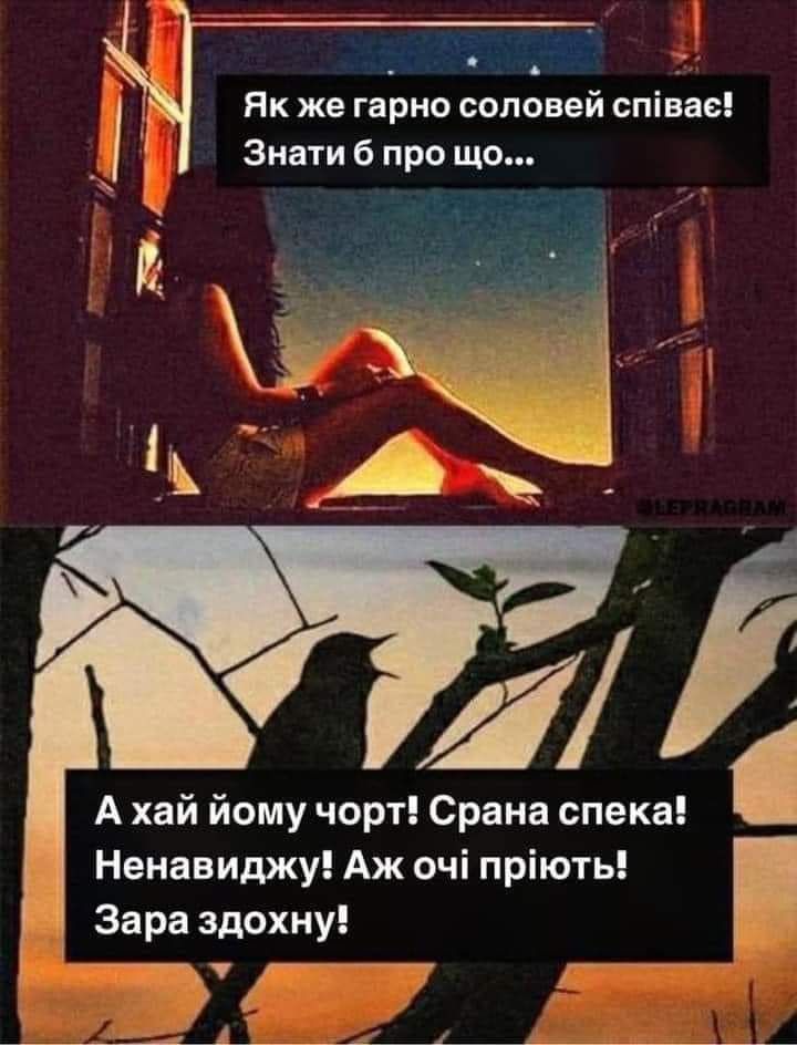 Спека в Україні продовжується, і ось нові меми про аномальну жару - 623513 Спека в Україні продовжується, і ось нові меми про аномальну жару - фото 623513