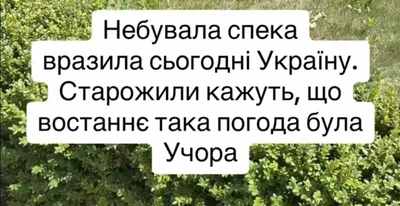 Жара в Украине продолжается, и вот новые мемы про аномальную жару - фото 623518