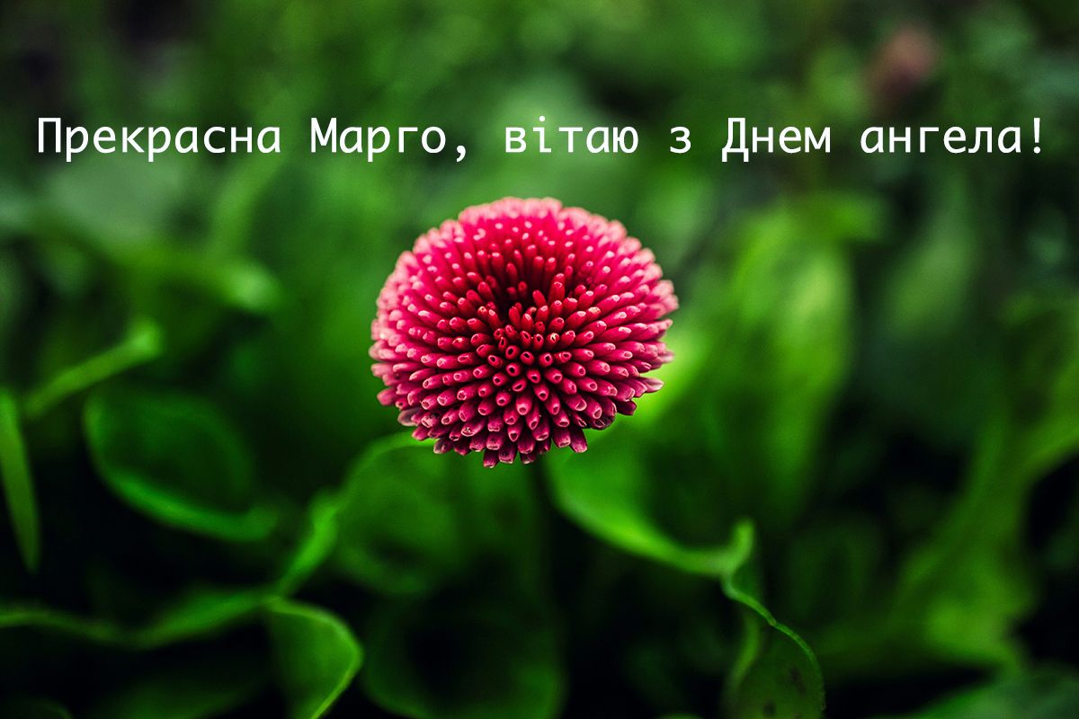 Поздравления с Днем ангела Маргариты 2025, которые порадуют женщин с красивым именем - фото 624298