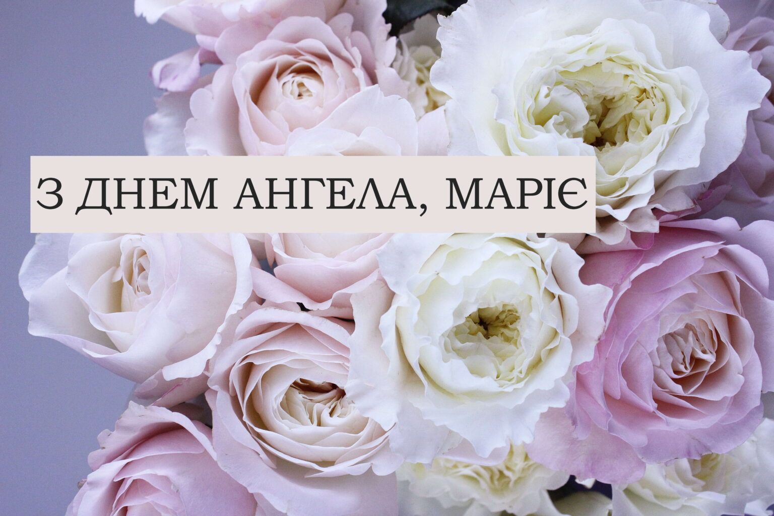 Поздравления с именинами Марии 2025: теплые слова и красивые картинки для особого дня - 625146 Поздравления с именинами Марии 2025: теплые слова и красивые картинки для особого дня - фото 625146