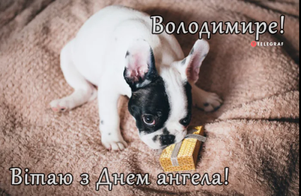 Трогательные поздравления в прозе и открытках ко Дню ангела Владимира 2024 - фото 626610