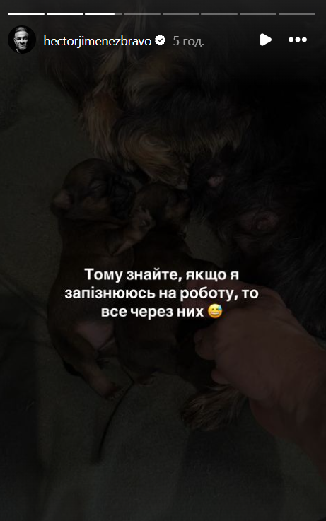 На это можно смотреть вечно: Эктор рассказал, из-за кого может опоздать на работу - 626860 На это можно смотреть вечно: Эктор рассказал, из-за кого может опоздать на работу - фото 626860