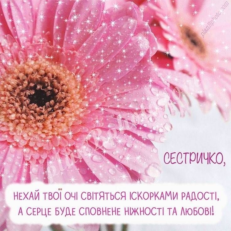Самые теплые и искренние поздравления в стихах и картинках на День сестер 2024 - фото 628151