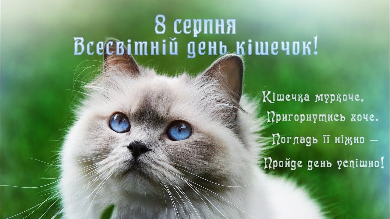 Привітання з Днем кішок картинки - 628901 Привітання з Днем кішок картинки - фото 628901