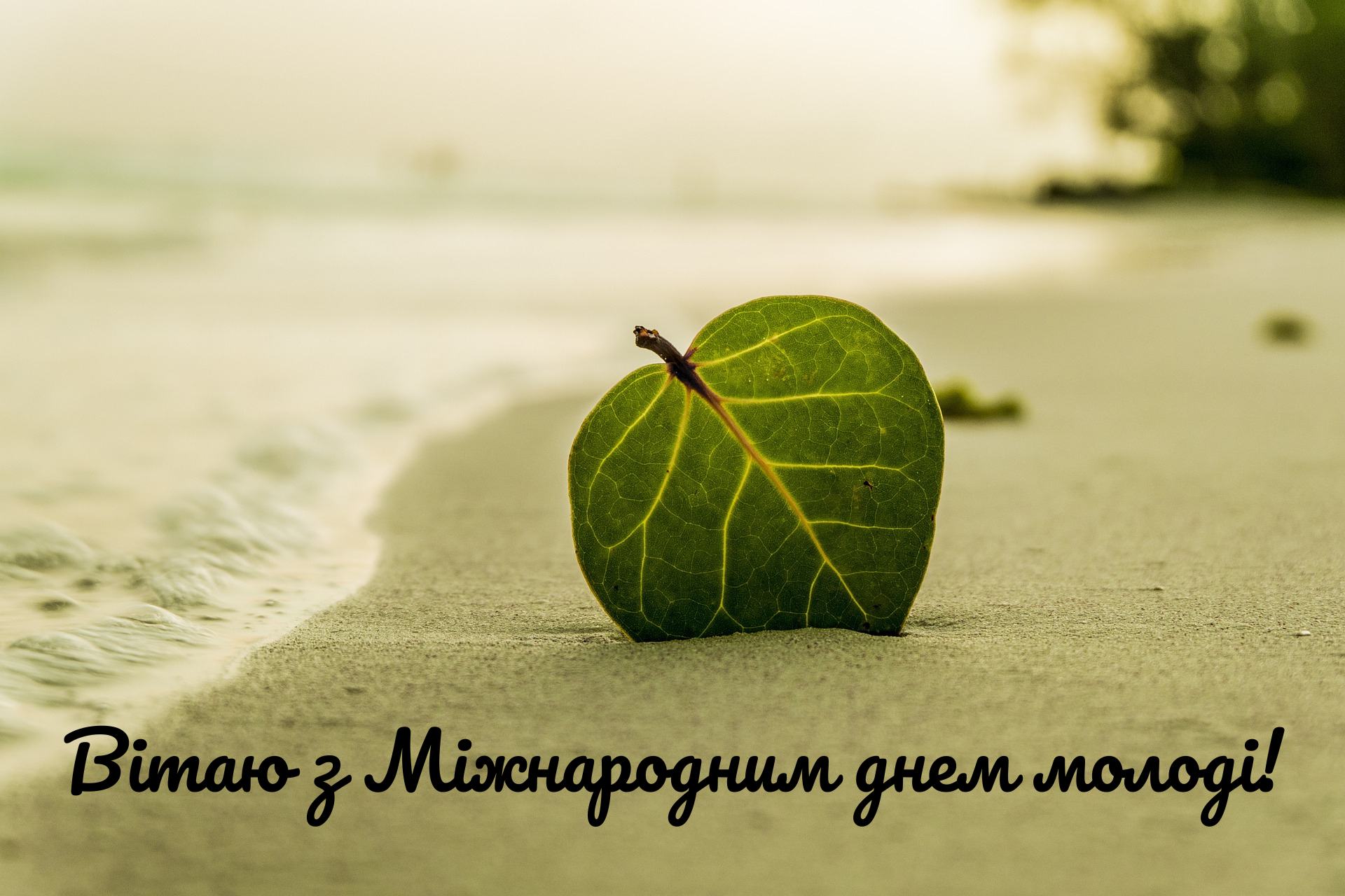 Привітання в картинках на День молоді 2024 - 628943 Привітання в картинках на День молоді 2024 - фото 628943